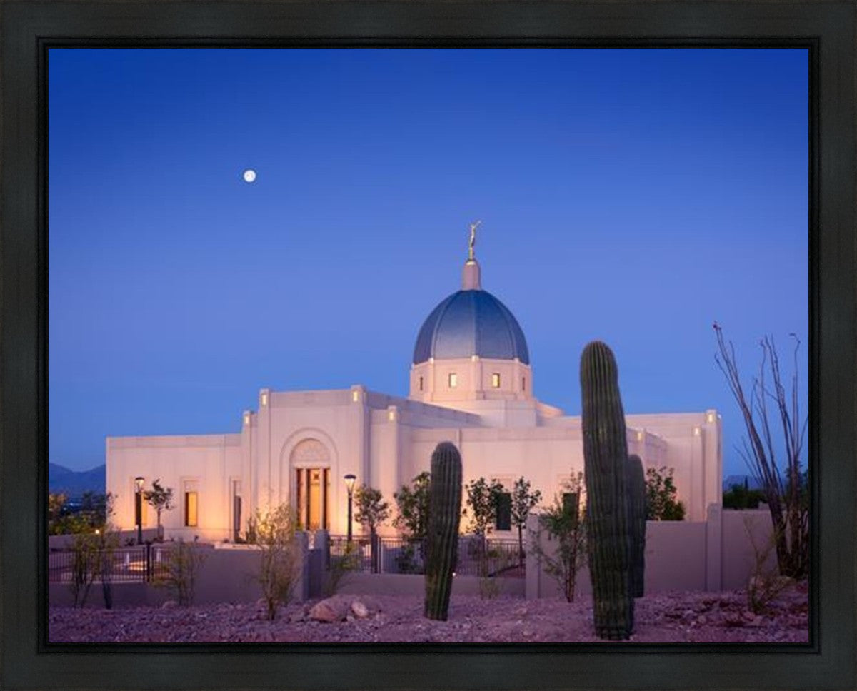 Tucson Cactus Morning Gallery Wrap