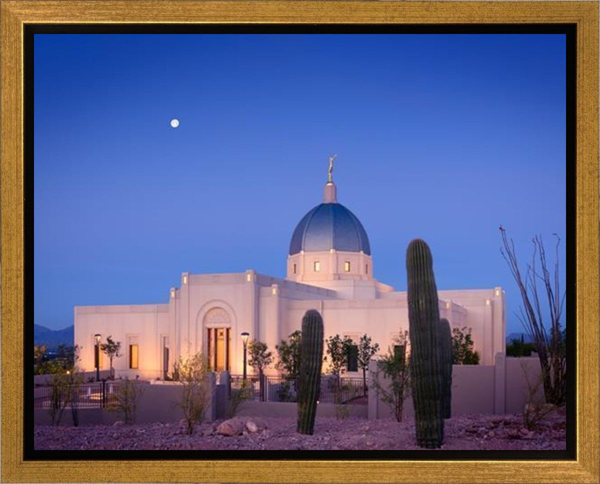 Tucson Cactus Morning Gallery Wrap