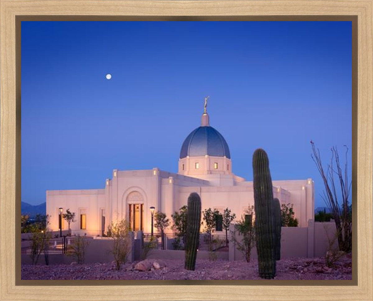 Tucson Cactus Morning Gallery Wrap