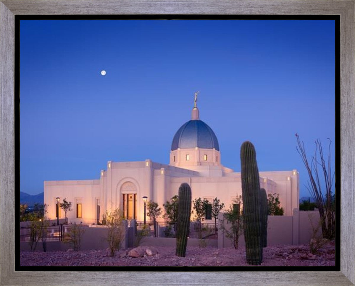 Tucson Cactus Morning Gallery Wrap