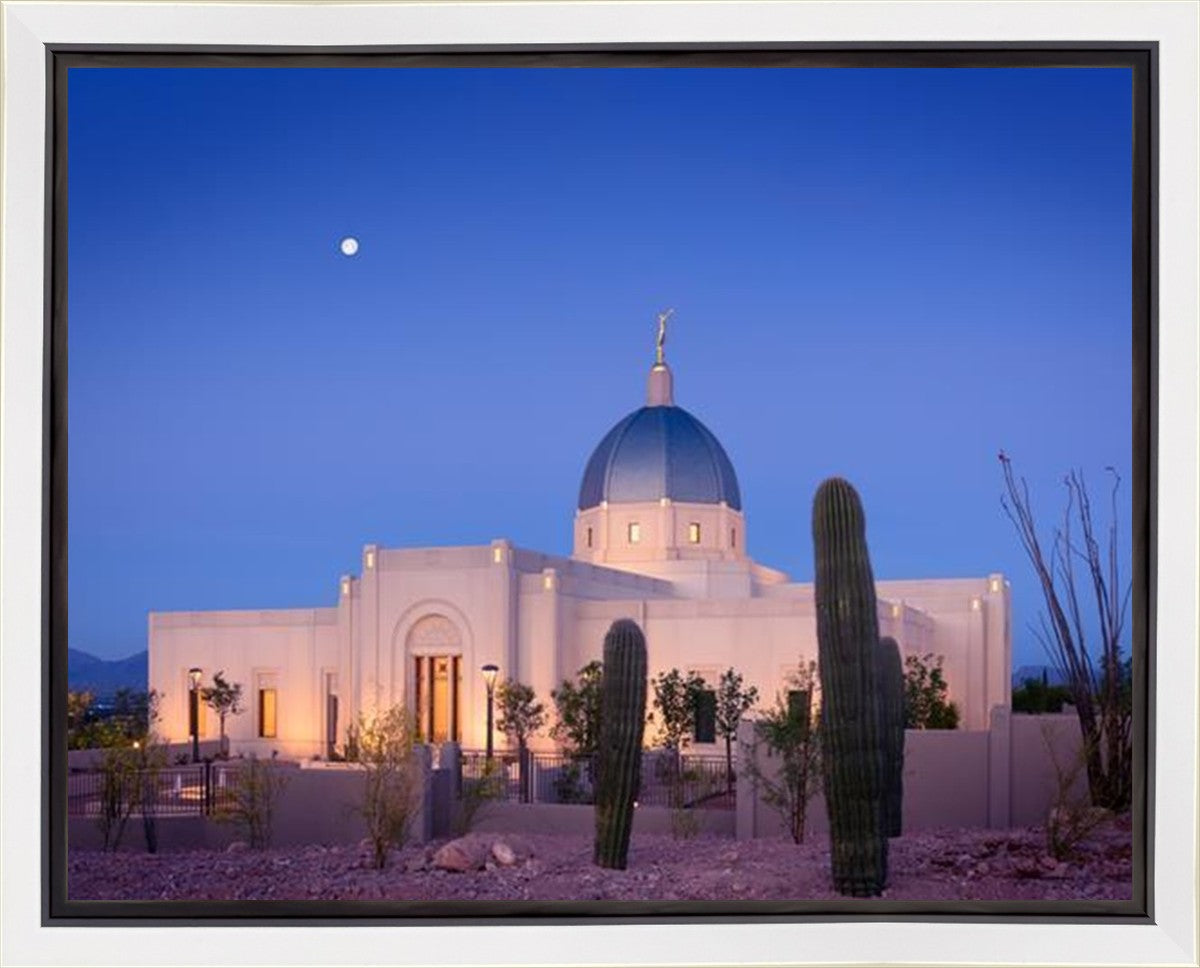 Tucson Cactus Morning Gallery Wrap