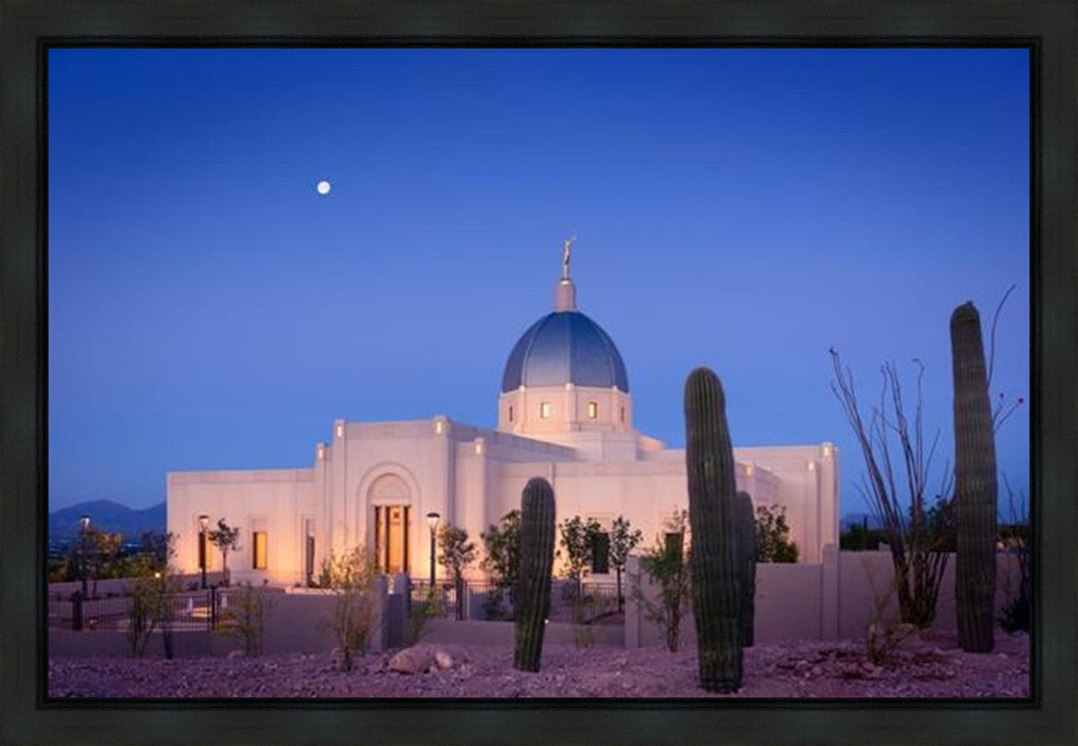 Tucson Cactus Morning Gallery Wrap