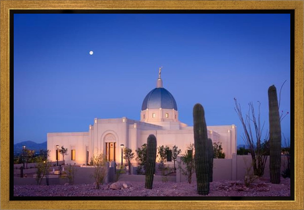 Tucson Cactus Morning Gallery Wrap