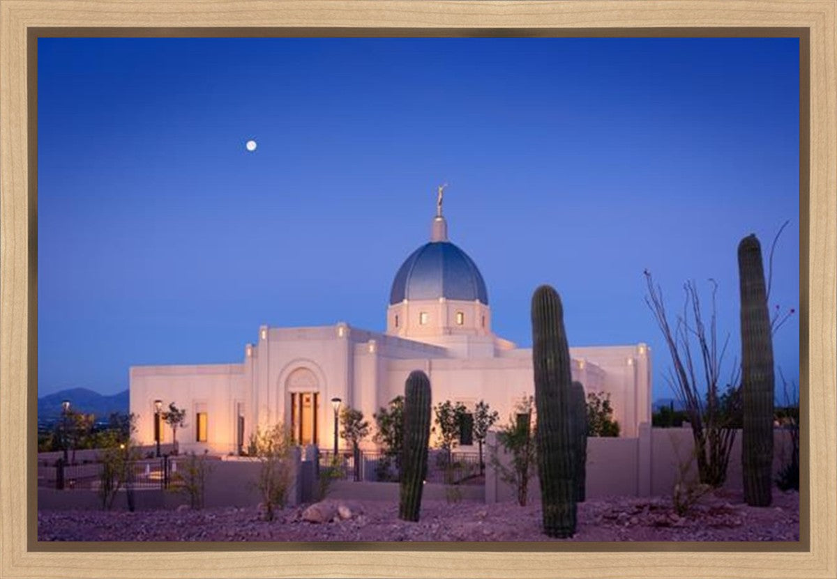 Tucson Cactus Morning Gallery Wrap