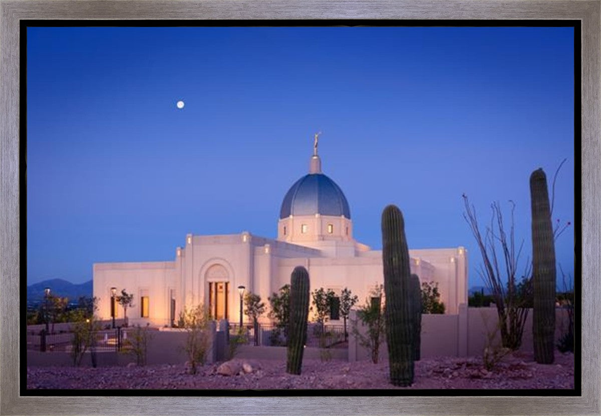 Tucson Cactus Morning Gallery Wrap