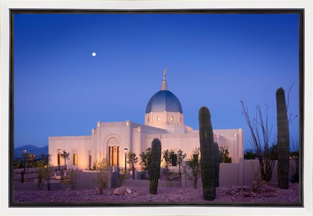 Tucson Cactus Morning Gallery Wrap