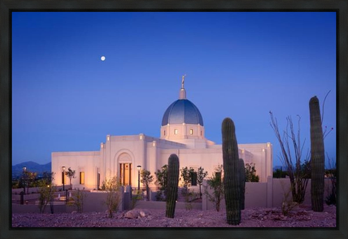 Tucson Cactus Morning Gallery Wrap