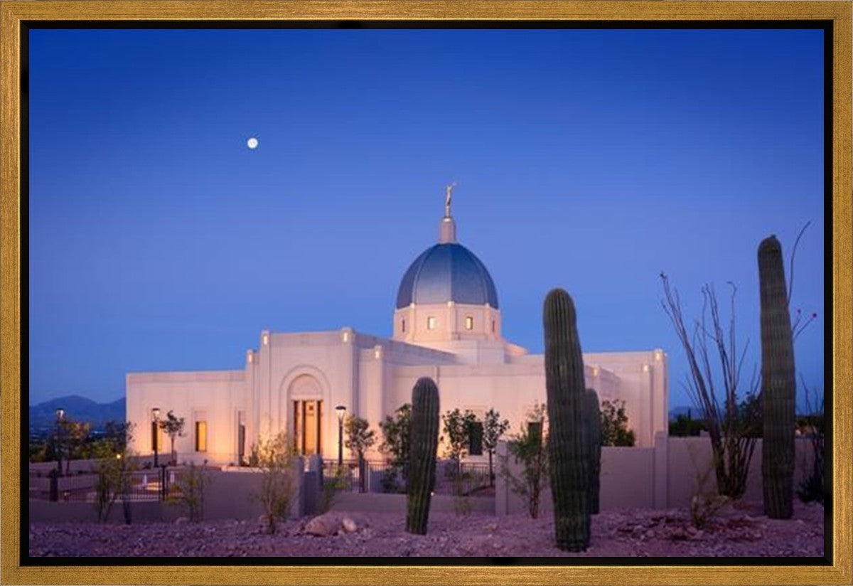 Tucson Cactus Morning Gallery Wrap