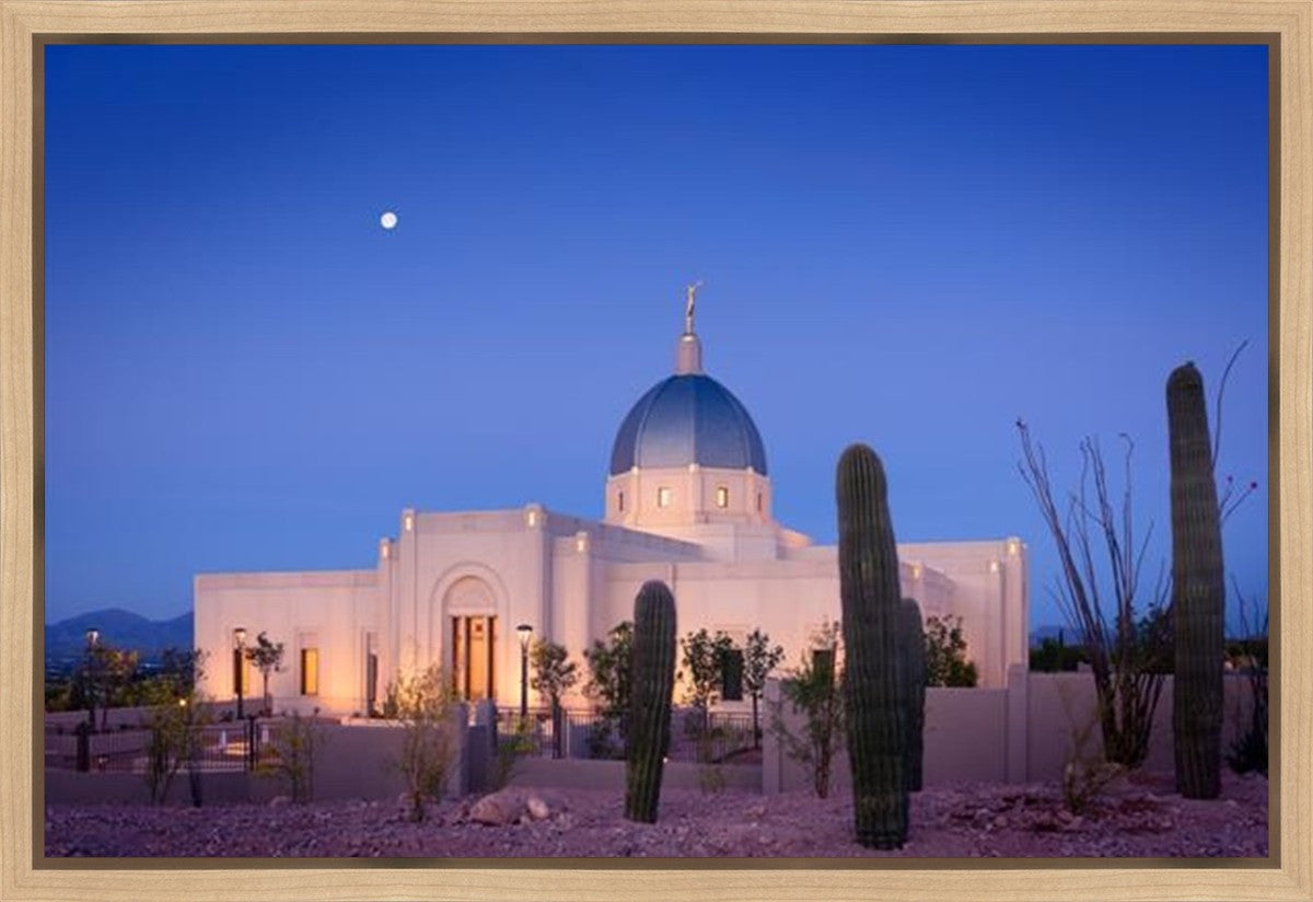 Tucson Cactus Morning Gallery Wrap