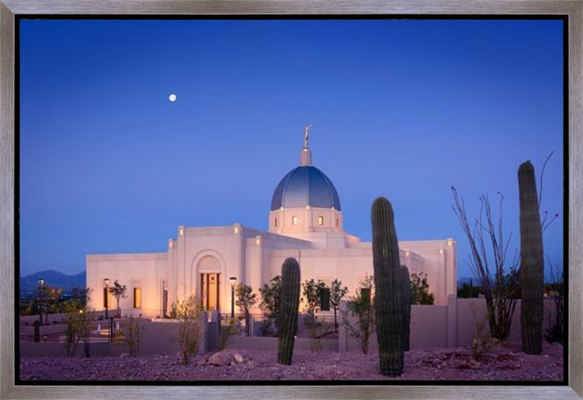 Tucson Cactus Morning Gallery Wrap
