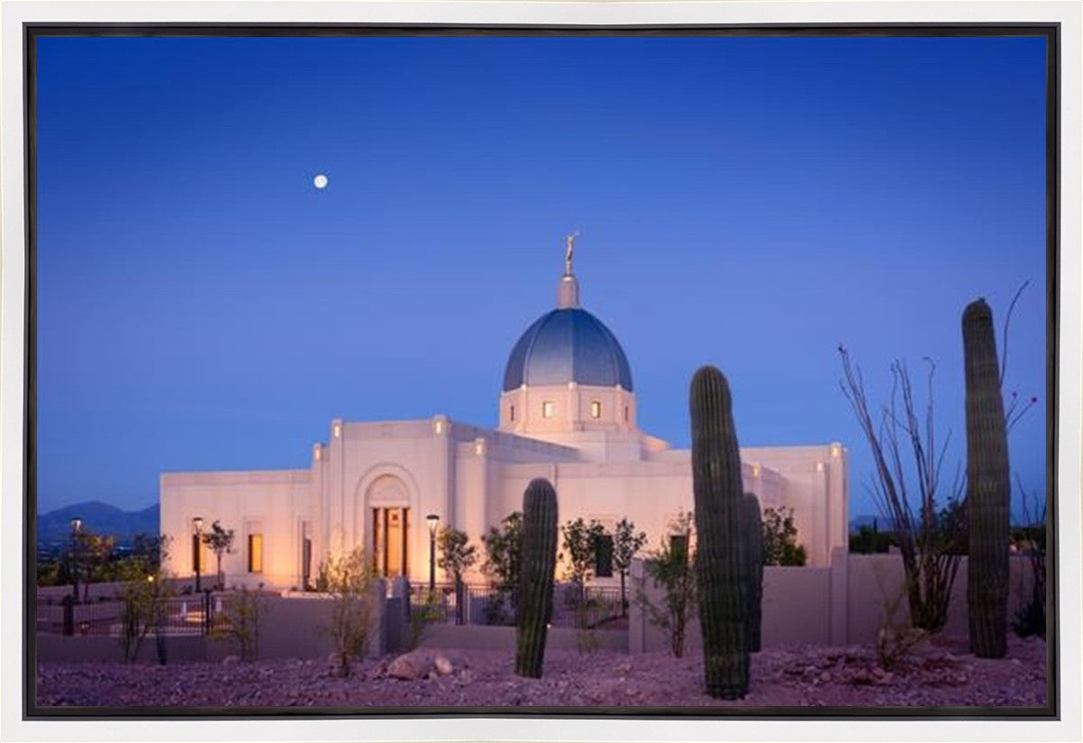Tucson Cactus Morning Gallery Wrap