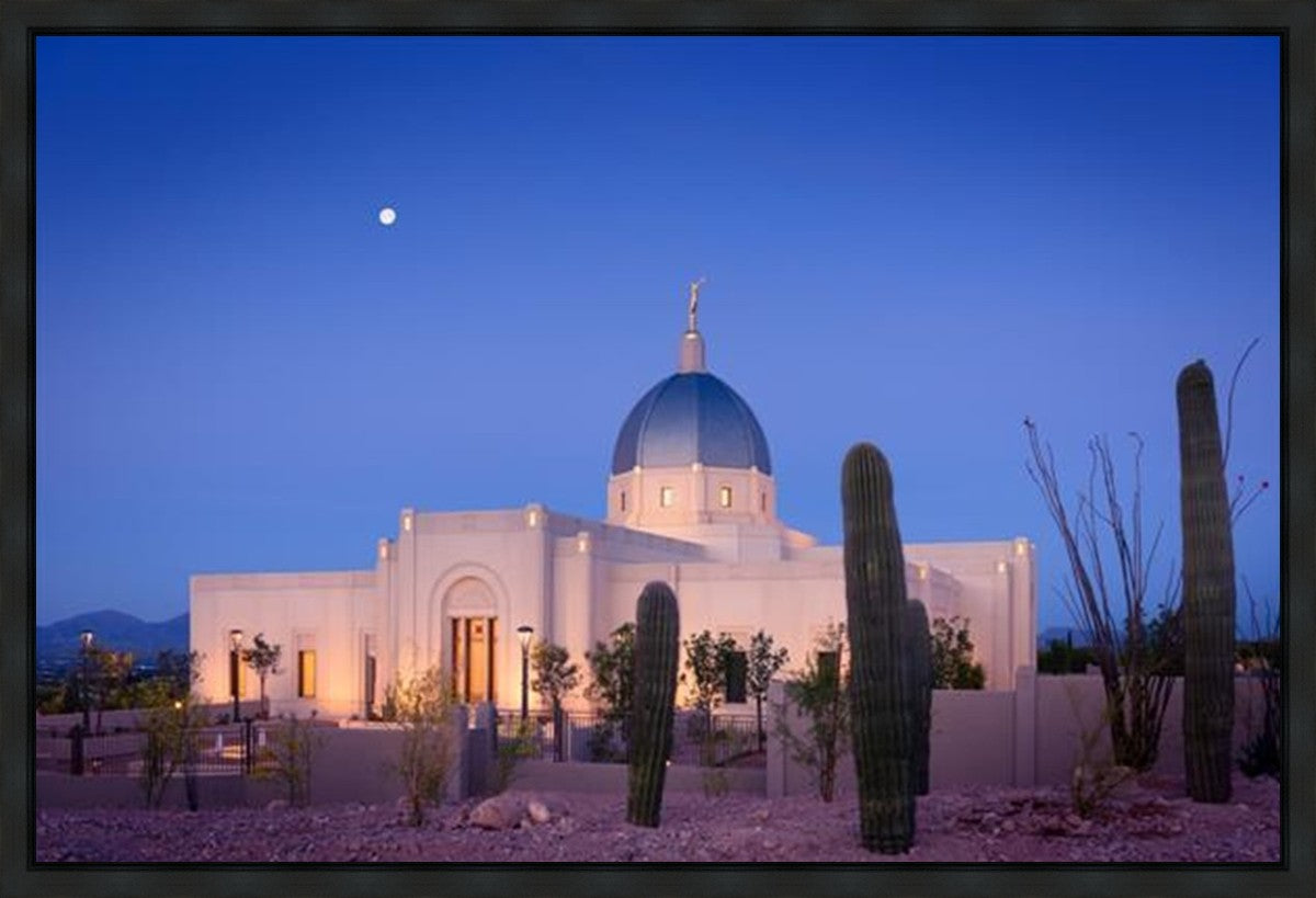 Tucson Cactus Morning Gallery Wrap