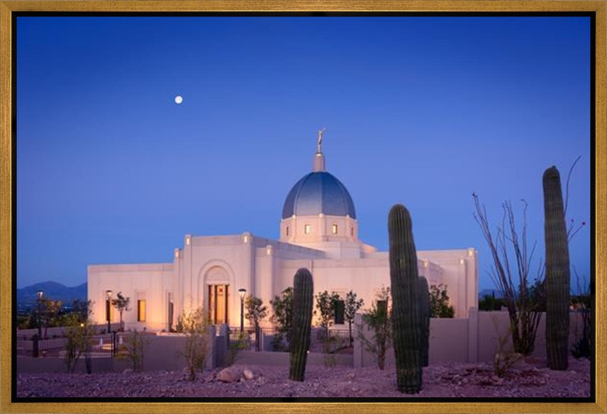 Tucson Cactus Morning Gallery Wrap