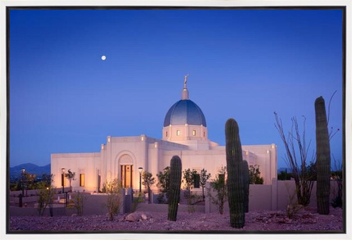 Tucson Cactus Morning Gallery Wrap