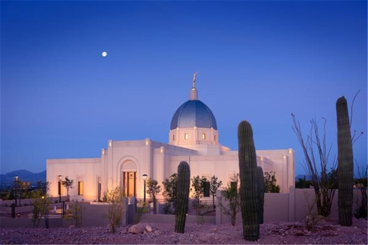 Tucson Cactus Morning Gallery Wrap