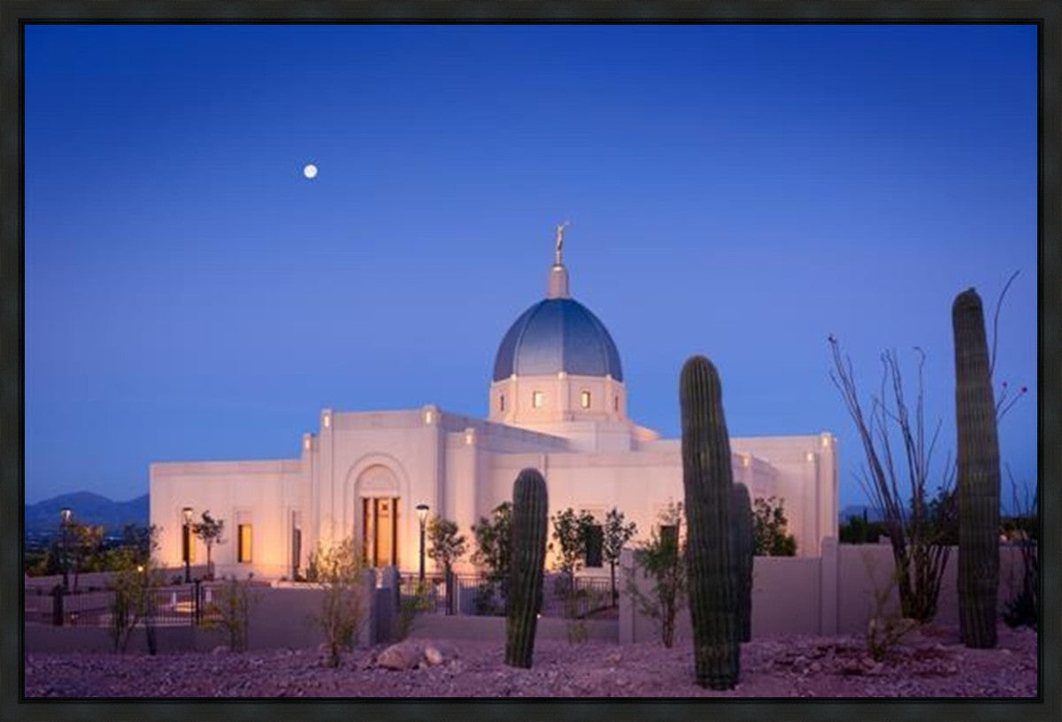 Tucson Cactus Morning Gallery Wrap