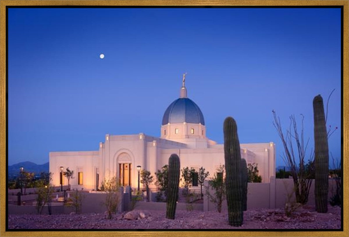 Tucson Cactus Morning Gallery Wrap