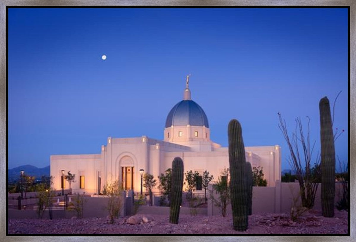 Tucson Cactus Morning Gallery Wrap