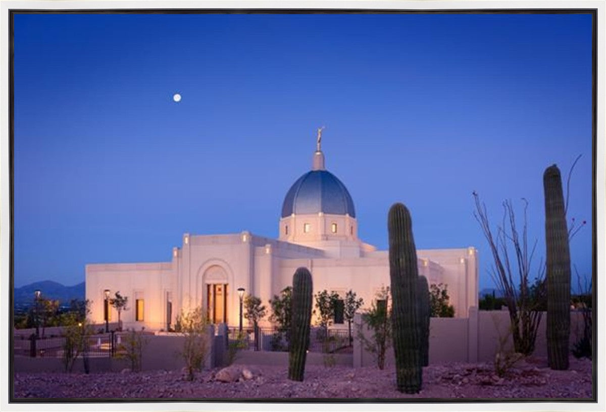 Tucson Cactus Morning Gallery Wrap