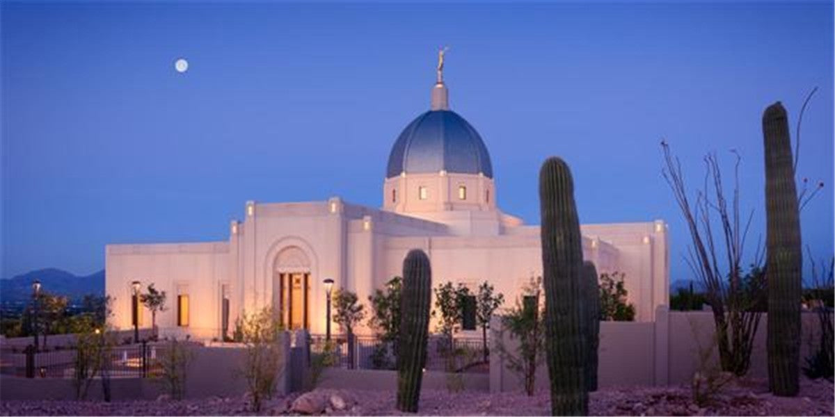 Tucson Cactus Morning Gallery Wrap