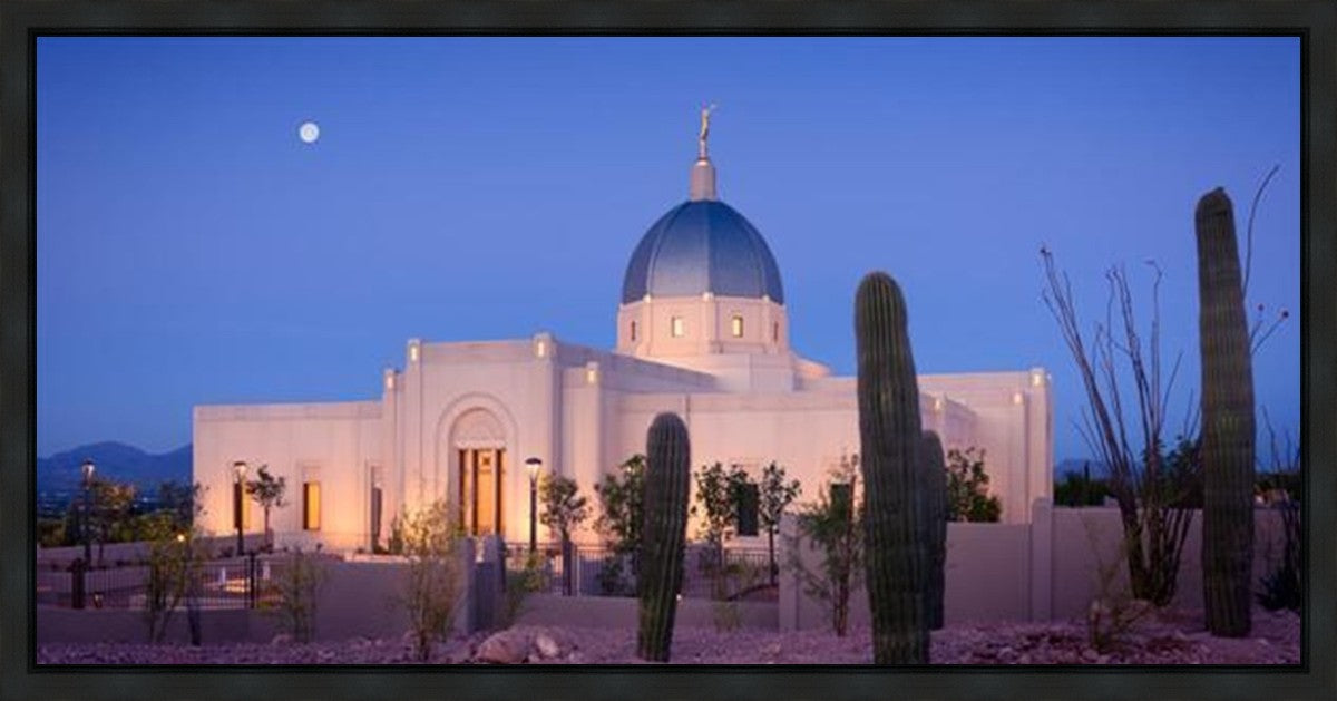 Tucson Cactus Morning Gallery Wrap