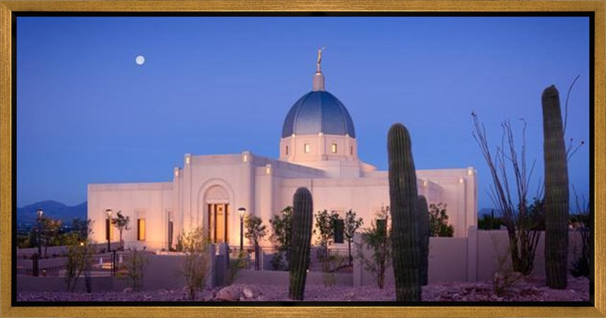 Tucson Cactus Morning Gallery Wrap