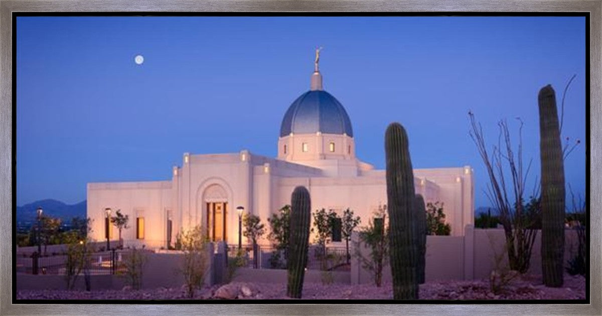 Tucson Cactus Morning Gallery Wrap