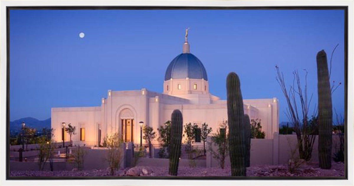 Tucson Cactus Morning Gallery Wrap