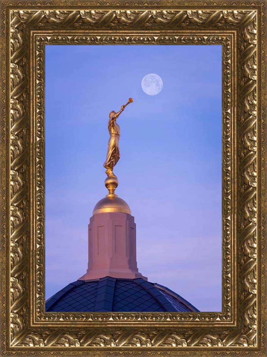 Tucson Trumpet Moon