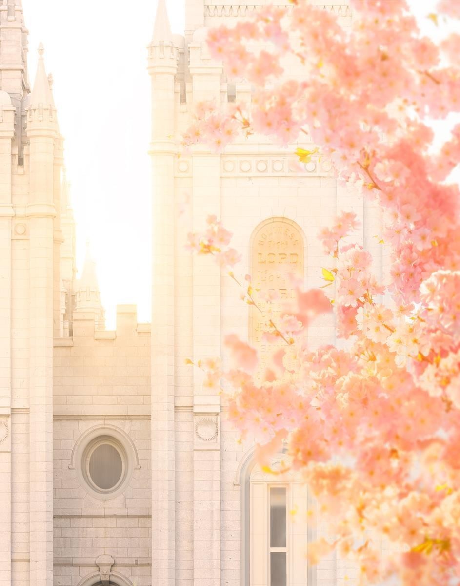 Salt Lake Blossom Glow Gallery Wrap
