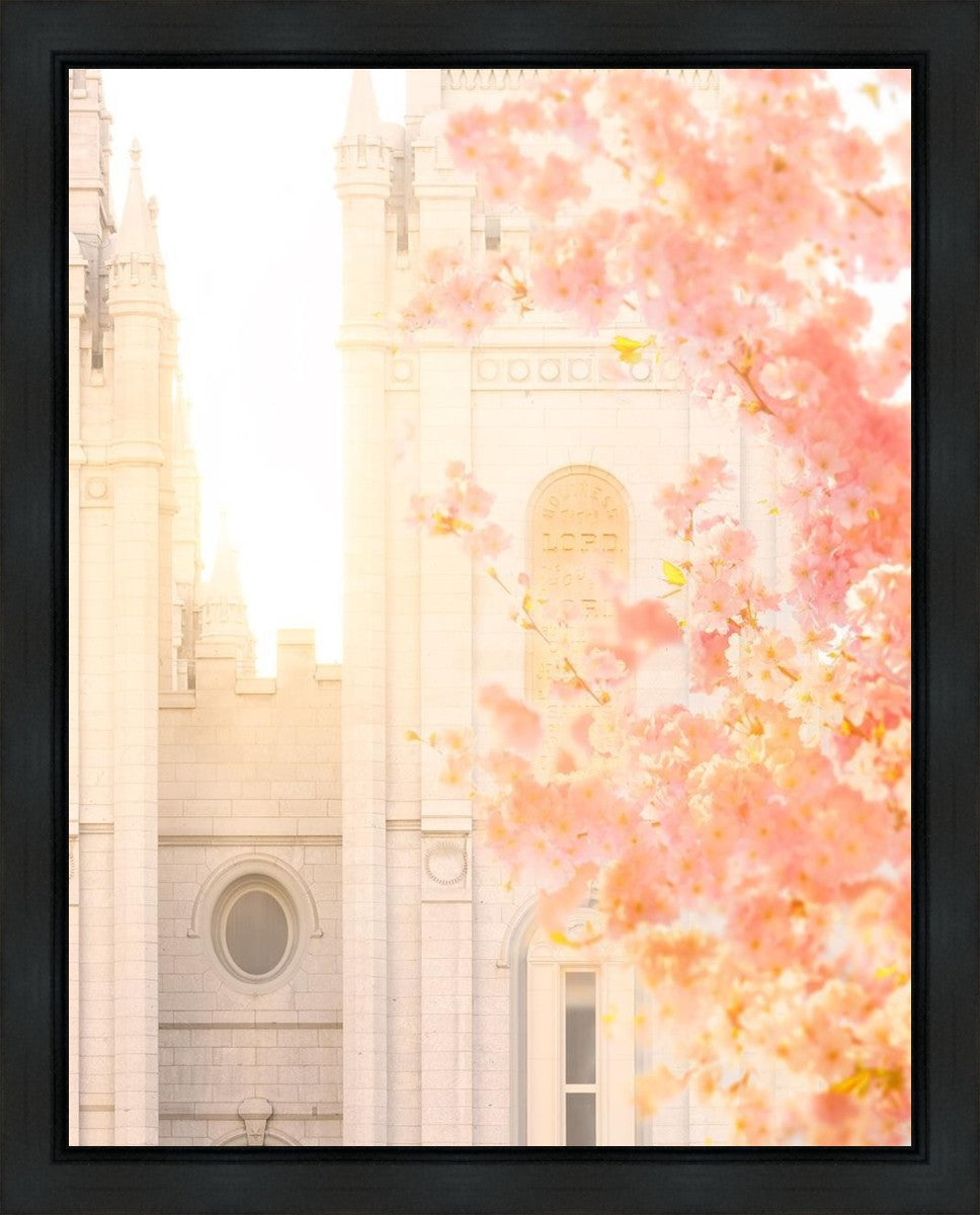Salt Lake Blossom Glow Gallery Wrap