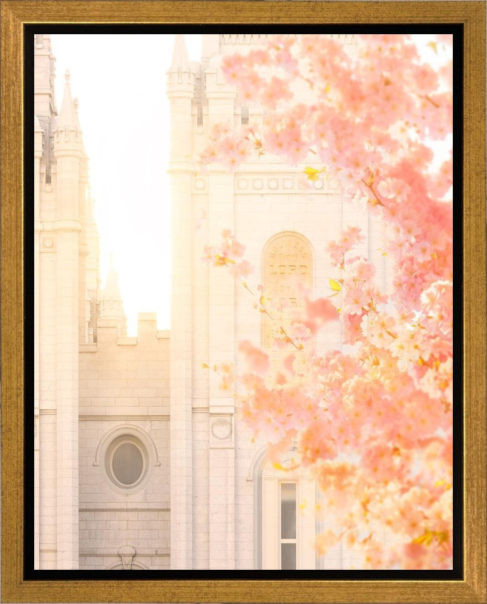 Salt Lake Blossom Glow Gallery Wrap