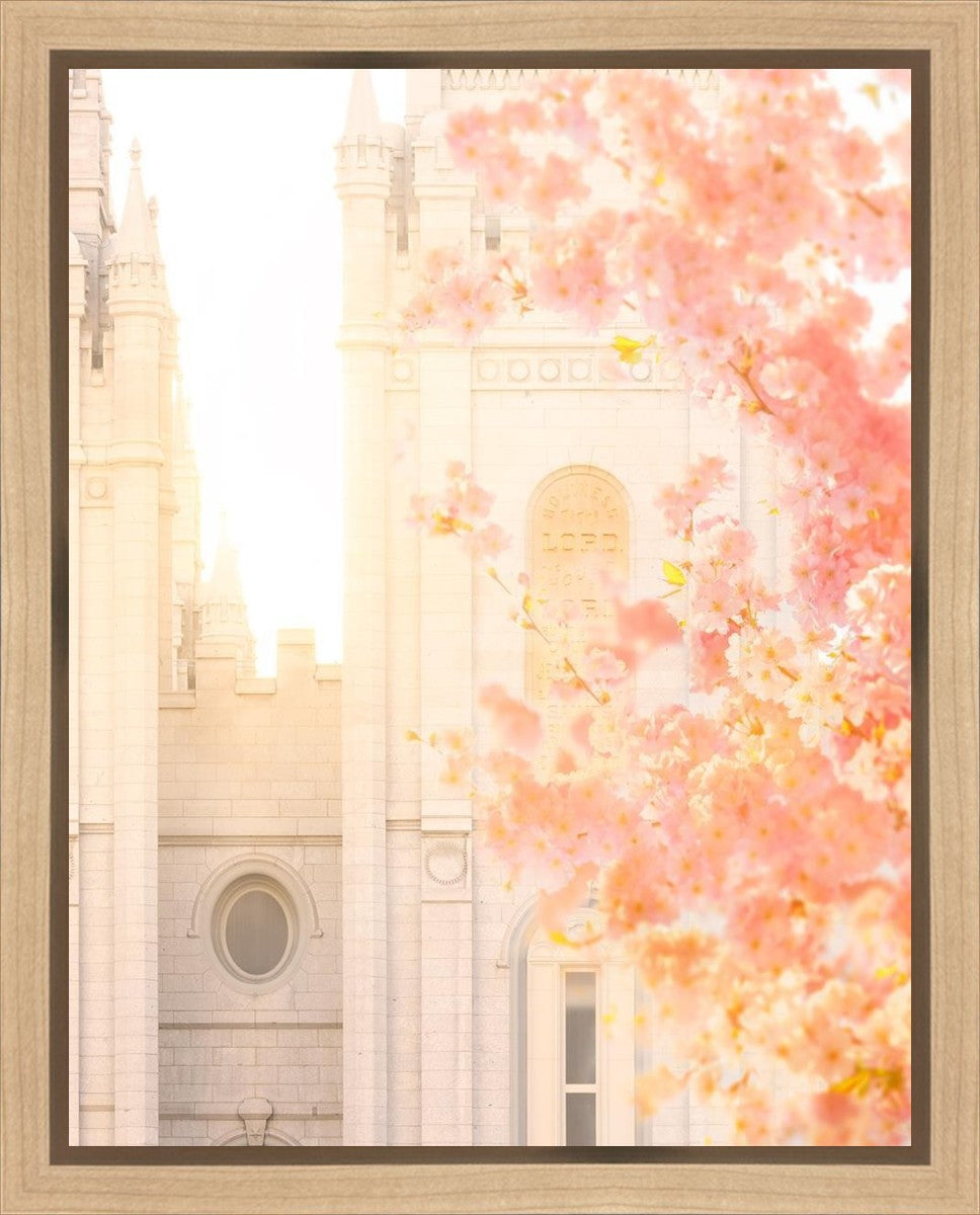 Salt Lake Blossom Glow Gallery Wrap