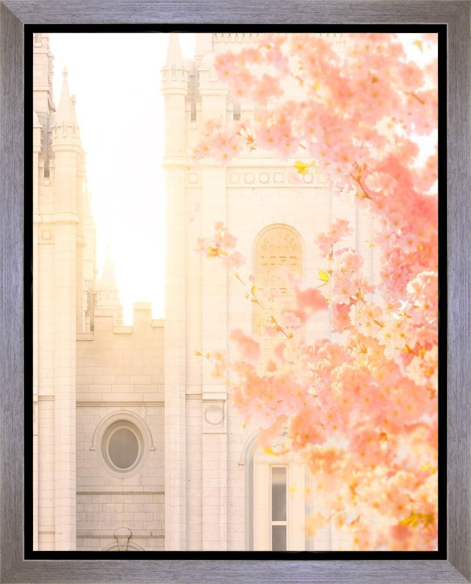 Salt Lake Blossom Glow Gallery Wrap