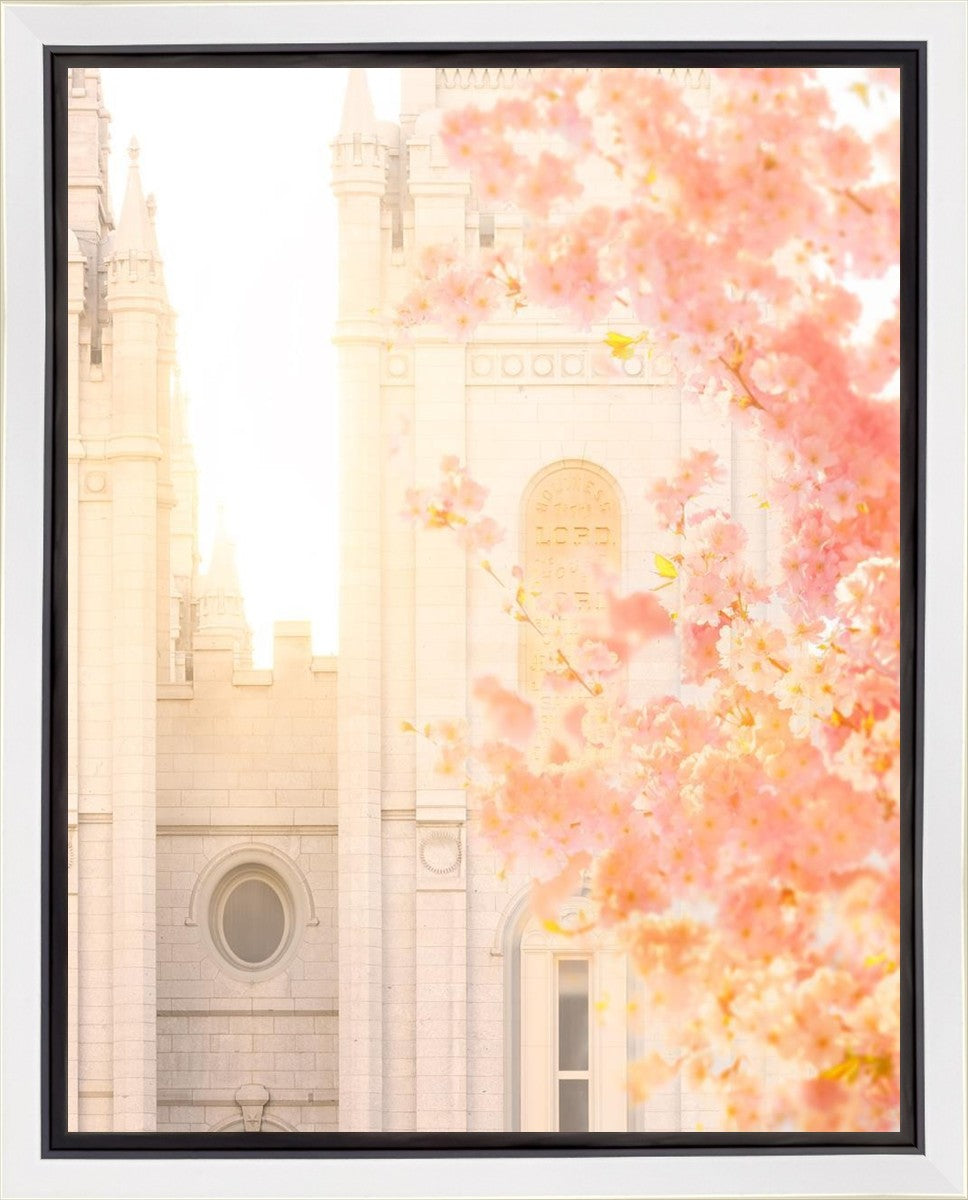 Salt Lake Blossom Glow Gallery Wrap