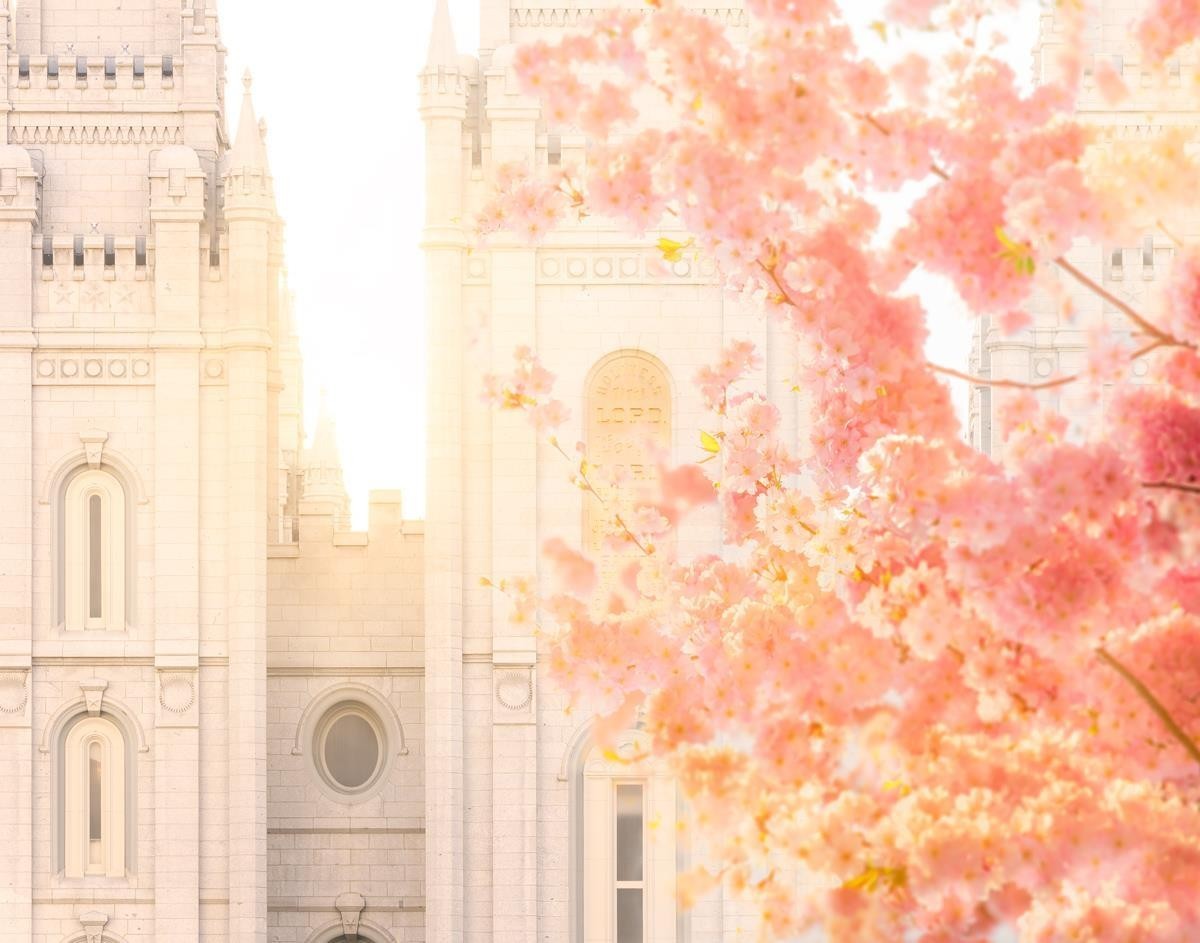 Salt Lake Blossom Glow Gallery Wrap