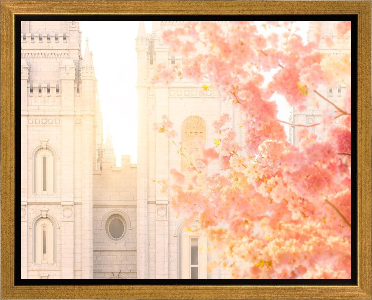 Salt Lake Blossom Glow Gallery Wrap