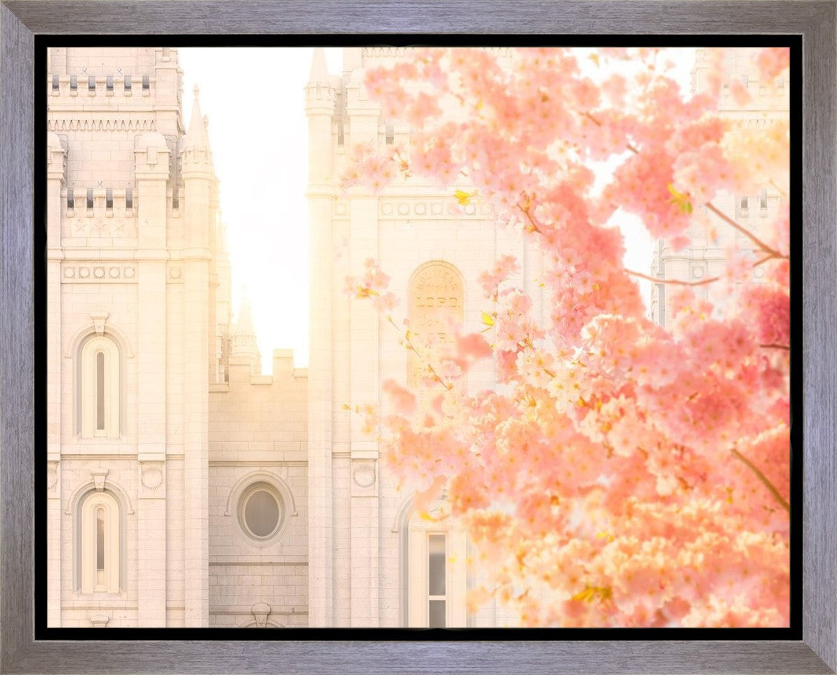 Salt Lake Blossom Glow Gallery Wrap