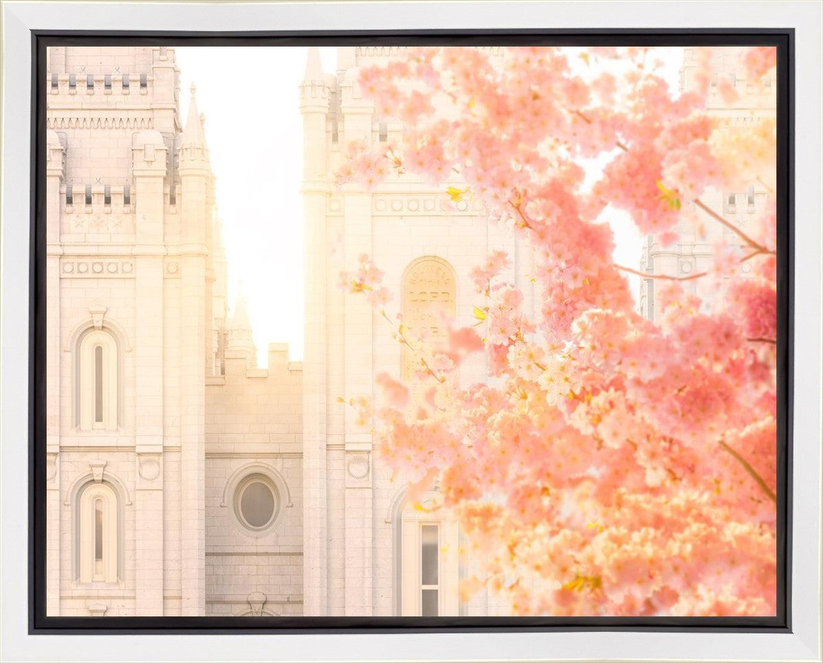 Salt Lake Blossom Glow Gallery Wrap