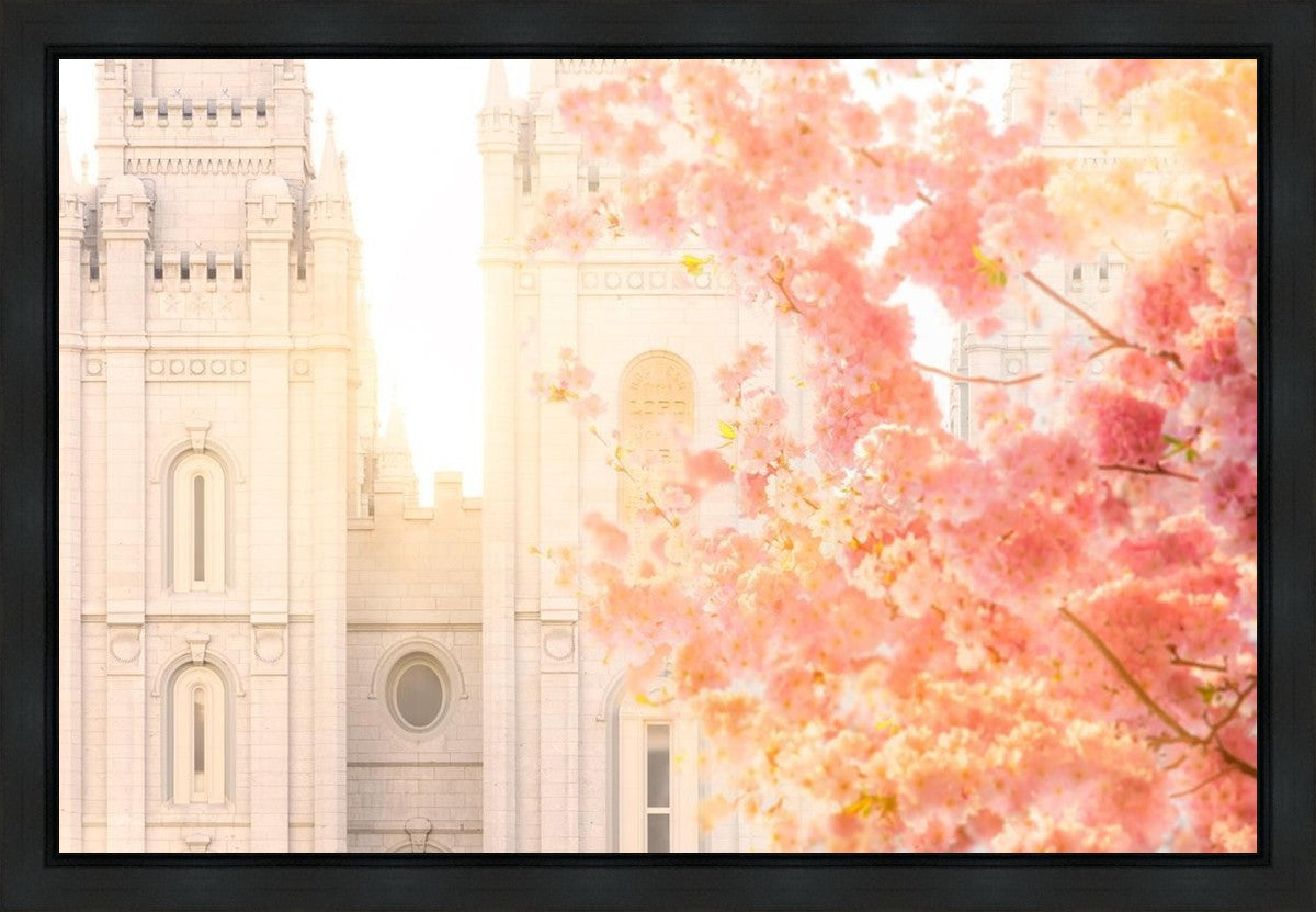 Salt Lake Blossom Glow Gallery Wrap