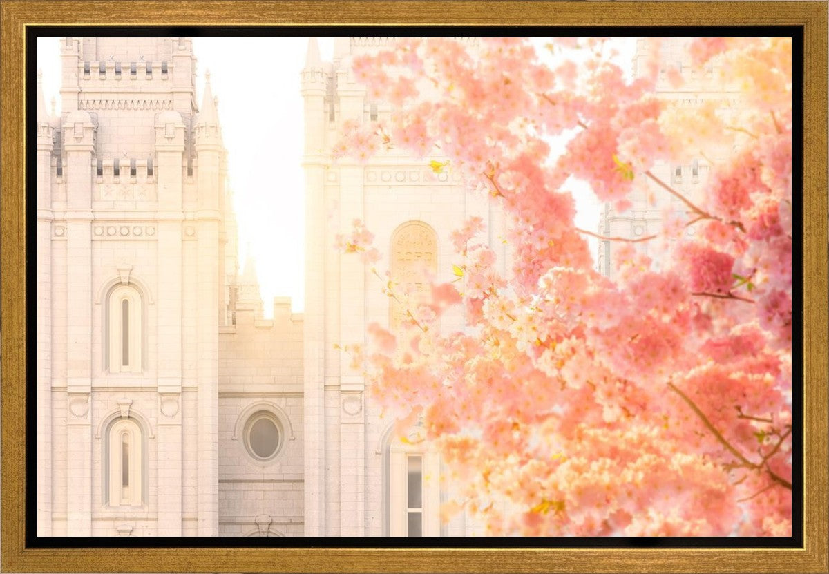 Salt Lake Blossom Glow Gallery Wrap