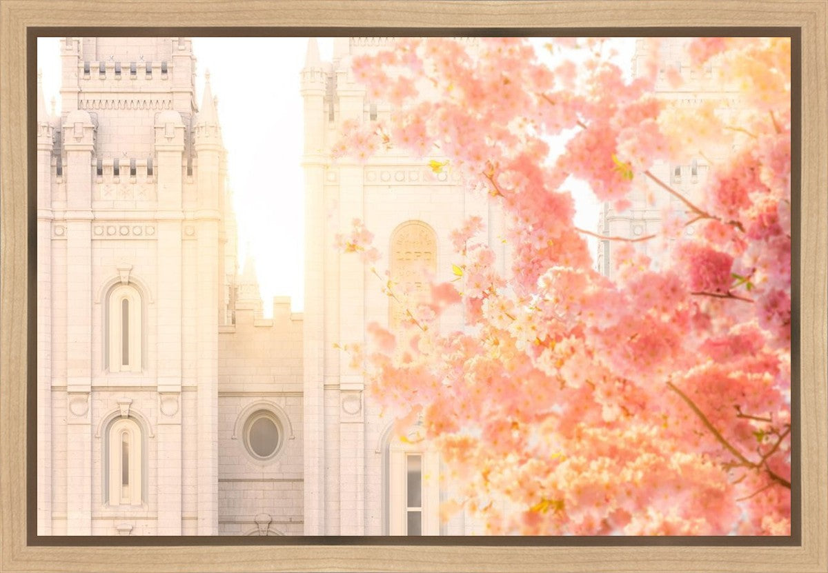 Salt Lake Blossom Glow Gallery Wrap