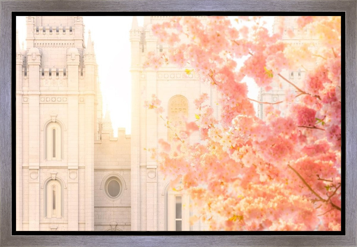 Salt Lake Blossom Glow Gallery Wrap