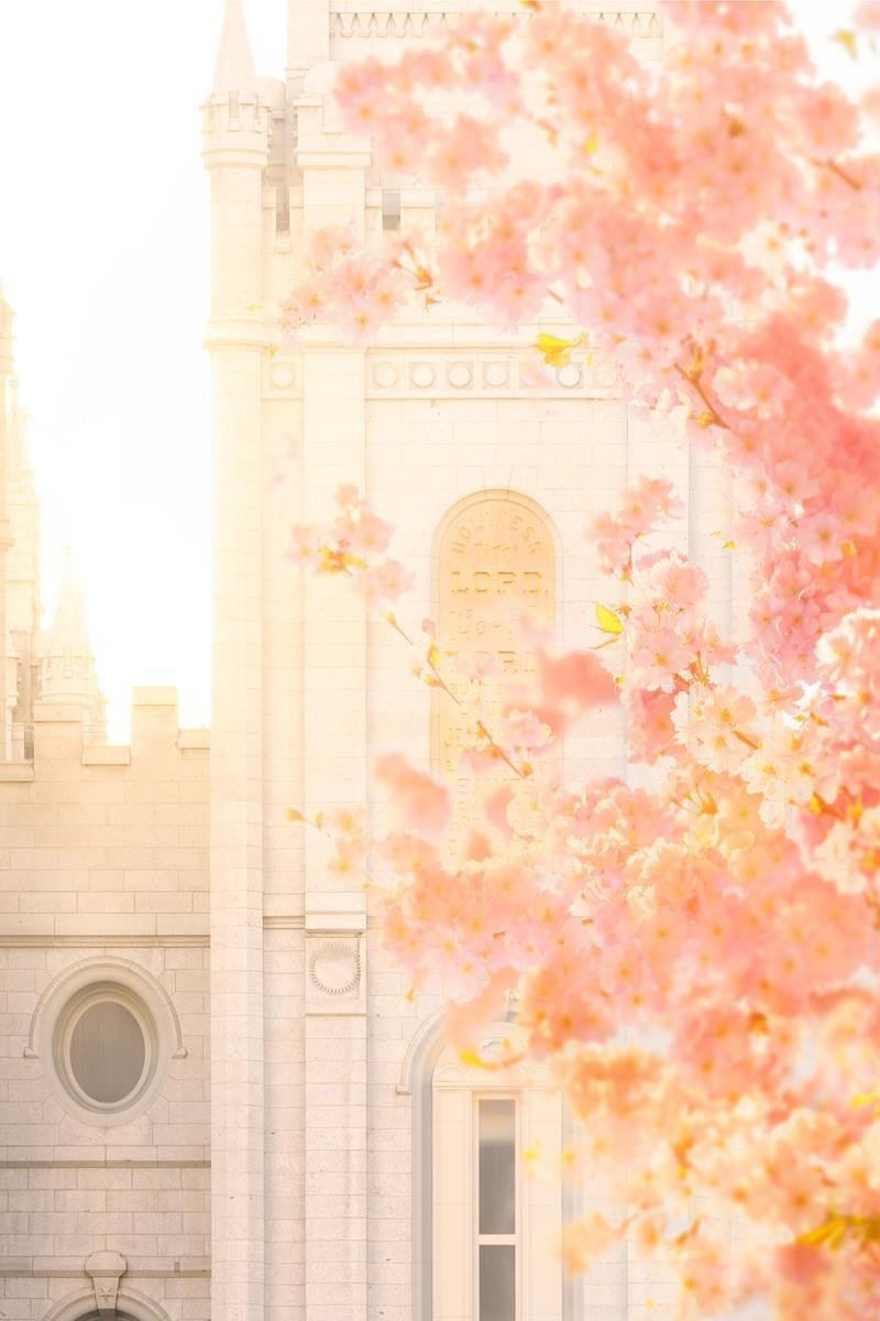 Salt Lake Blossom Glow Gallery Wrap