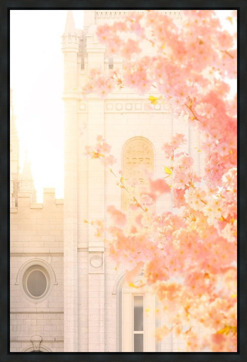 Salt Lake Blossom Glow Gallery Wrap