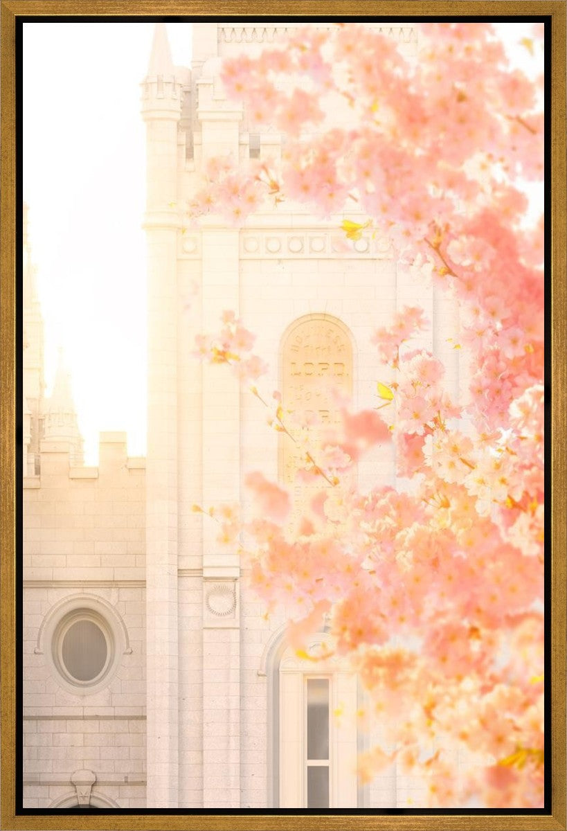 Salt Lake Blossom Glow Gallery Wrap