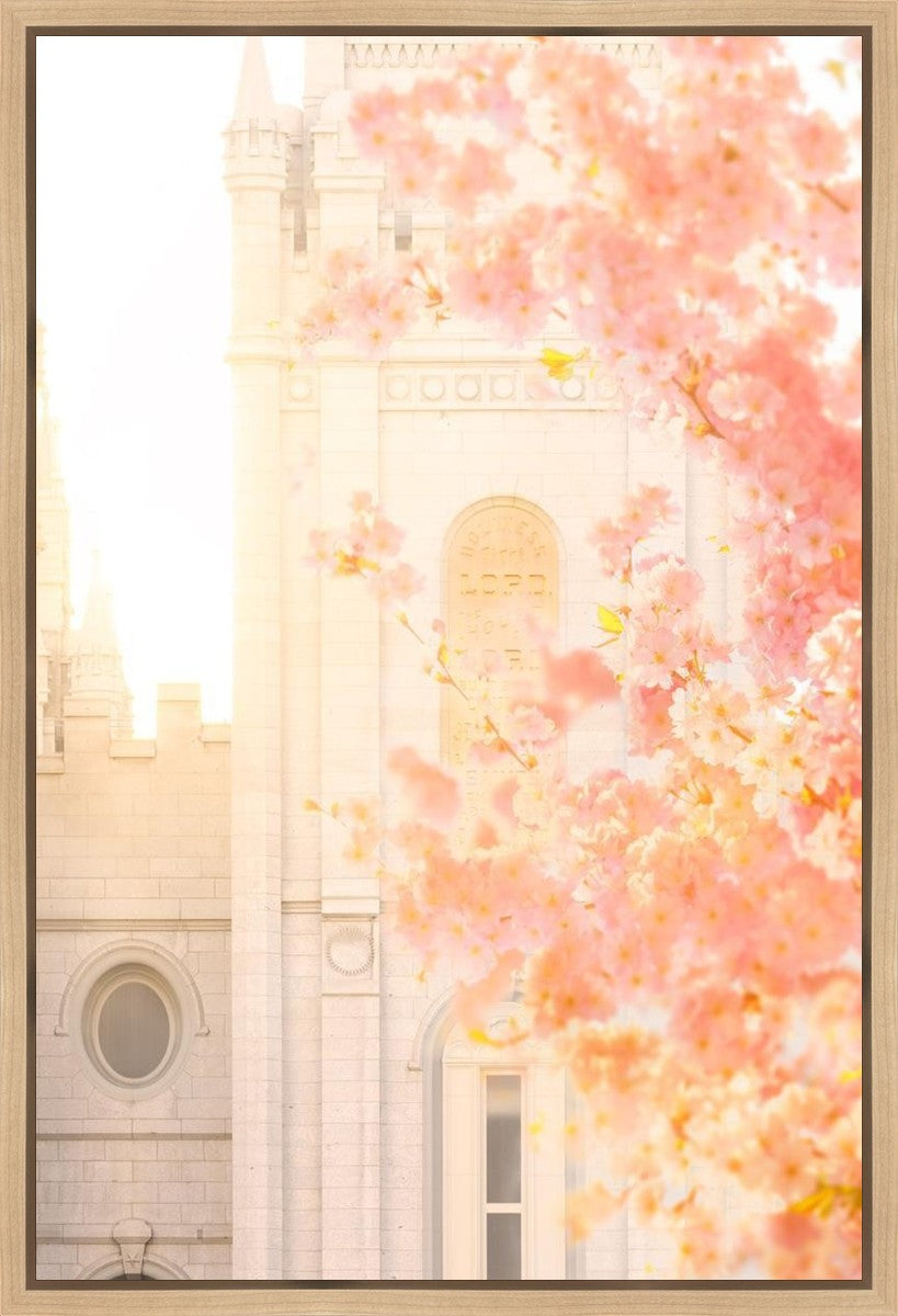 Salt Lake Blossom Glow Gallery Wrap