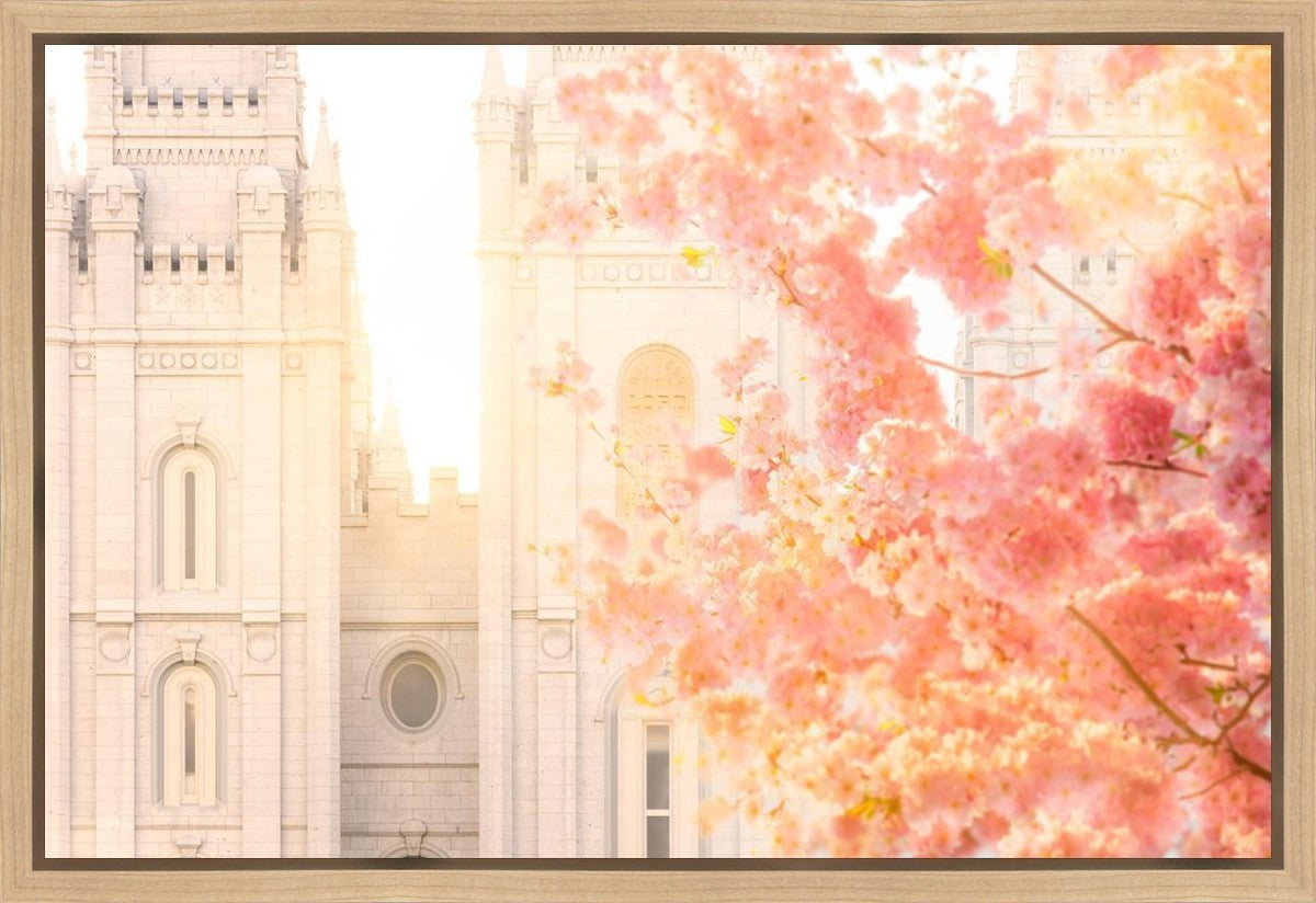 Salt Lake Blossom Glow Gallery Wrap