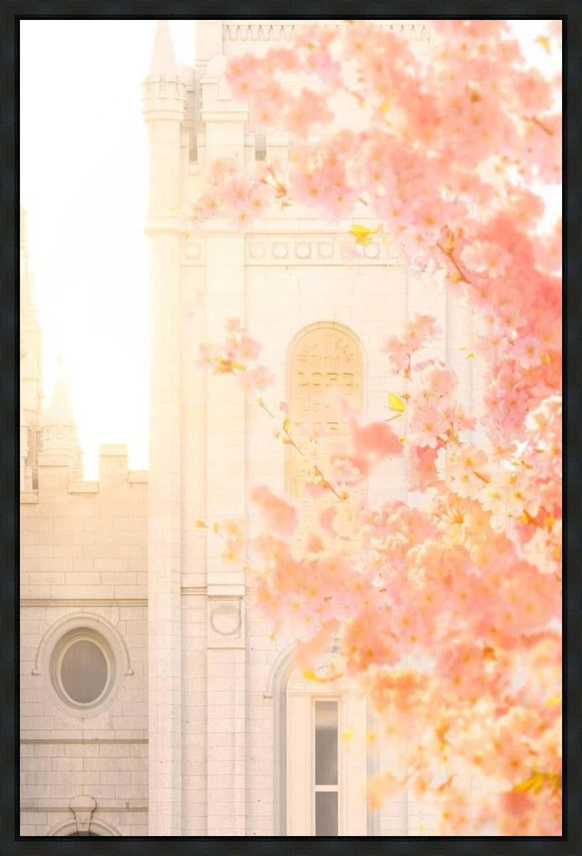 Salt Lake Blossom Glow Gallery Wrap