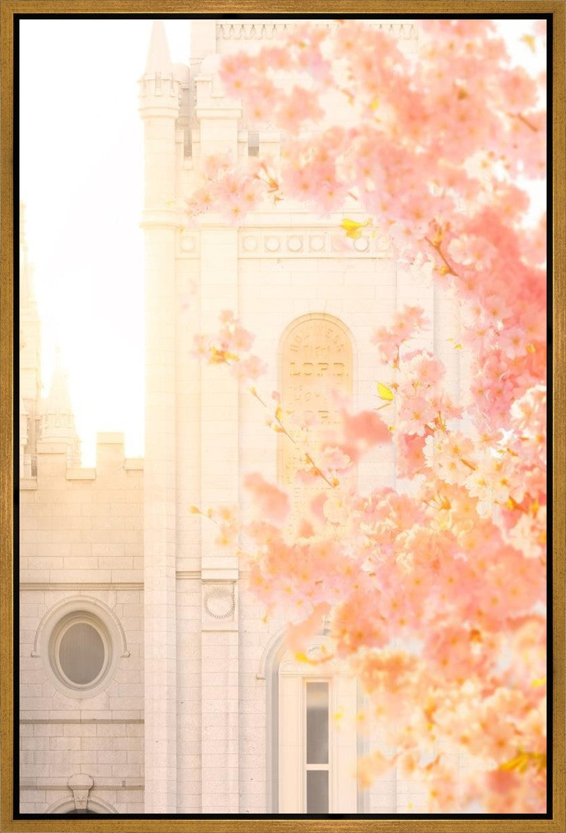 Salt Lake Blossom Glow Gallery Wrap